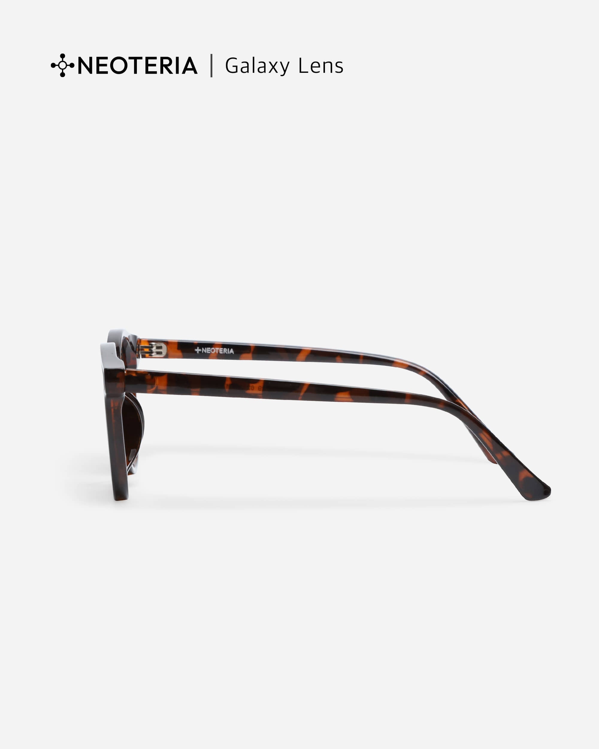 PORIN · LEOPARD